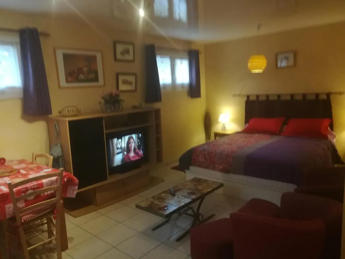 Maison Montricher-le-Bochet Bed and Breakfast